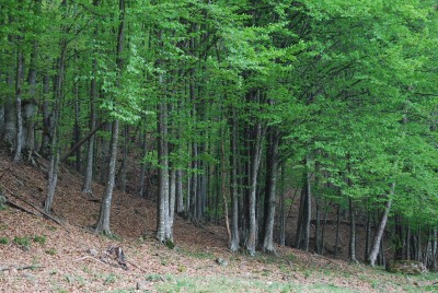 DSC_0657.JPG