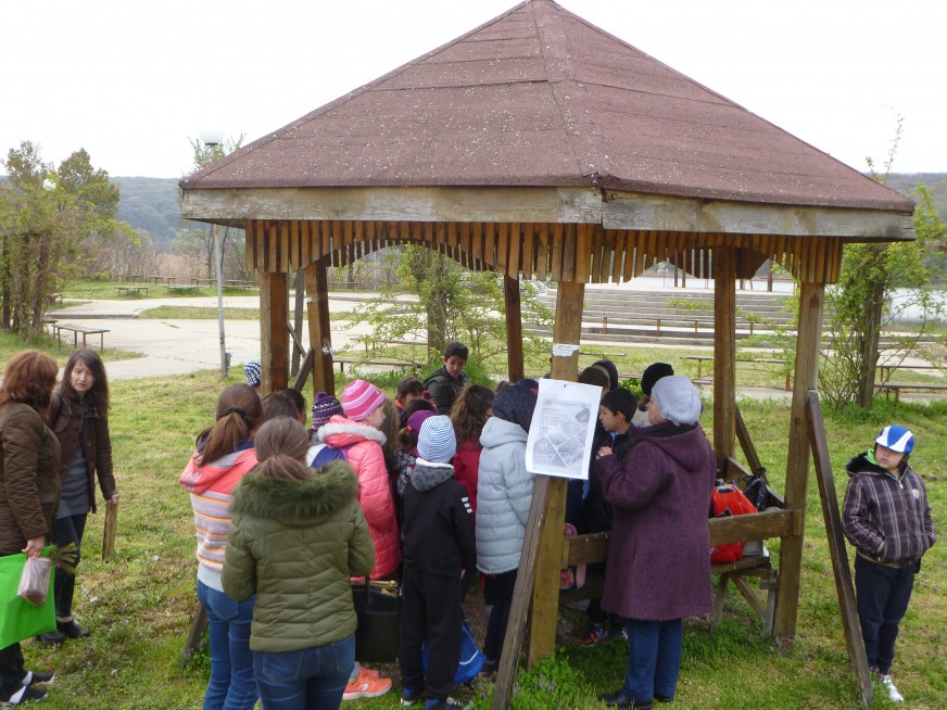 P1040327.JPG