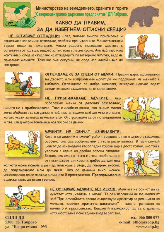листовка_мечки_гръб.jpg
