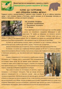 листовка_мечки_лице.jpg